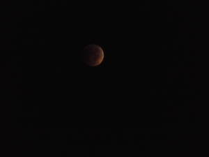 Lunar Eclipse 100814 002