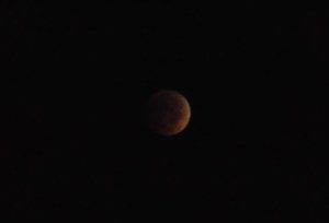 Lunar Eclipse 100814 004Cropped