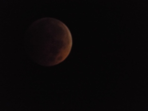 Lunar Eclipse 100814 009